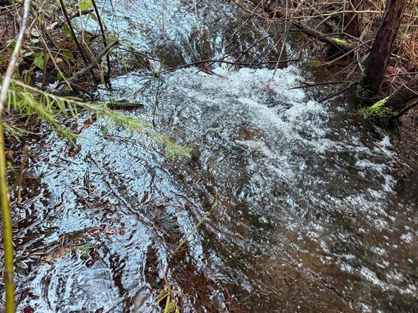 LOT 1 Cold Creek Cir, Mount Shasta, CA 96067