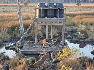 0 Crocheron Rd, Toddville, MD 21672