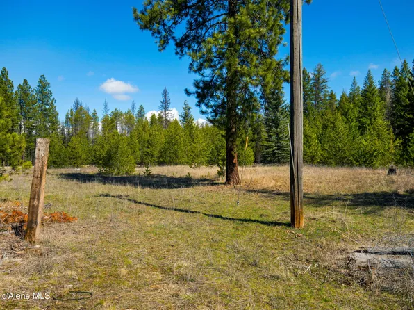 Nka Hoo Doo Loop, Oldtown, ID 83822