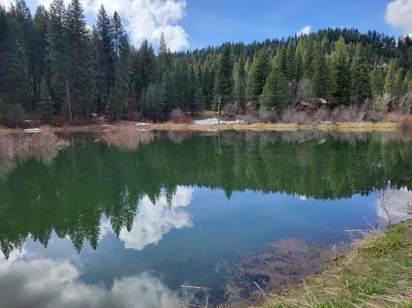 Tbd Peaceful Pines Rd, Council, ID 83612