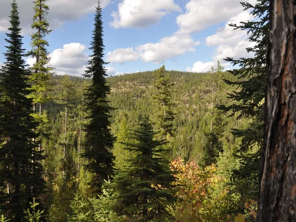 Nhn Golden Larch Dr, Kalispell, MT 59901