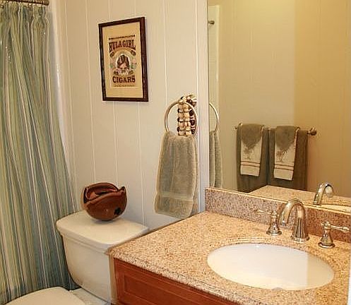 Downstairs Guest Bathroom