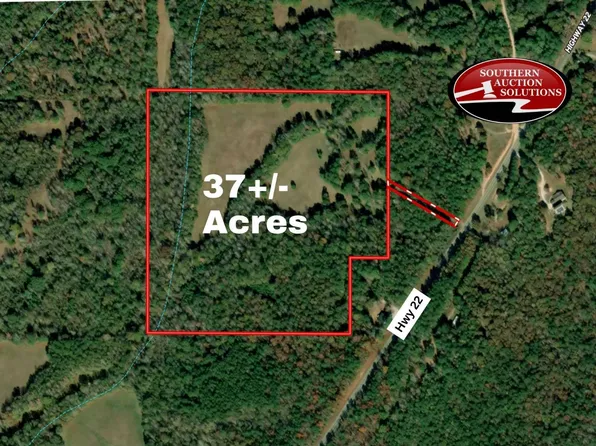 37/ACRE S Highway 22, East Roanoke, AL 36274