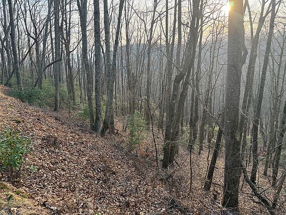 3rd image of LOT-33A Watauga Rd