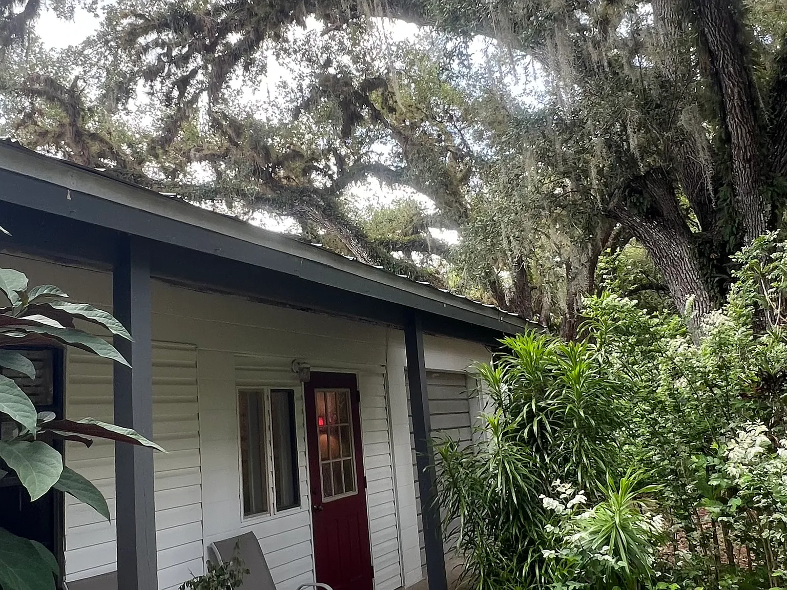 1 bed, $1,150 — Photo 1