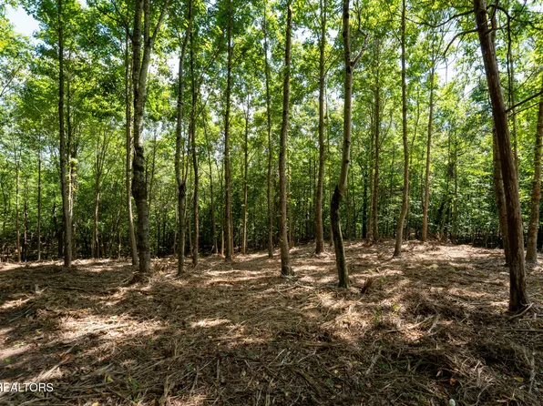 115 Pinecrest Dr, Loudon, TN 37774