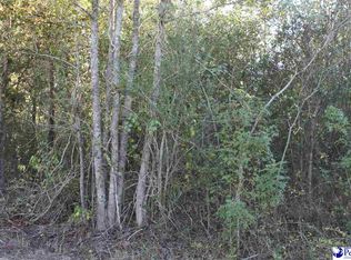 Sumters Landing Rd, Horatio, SC 29062