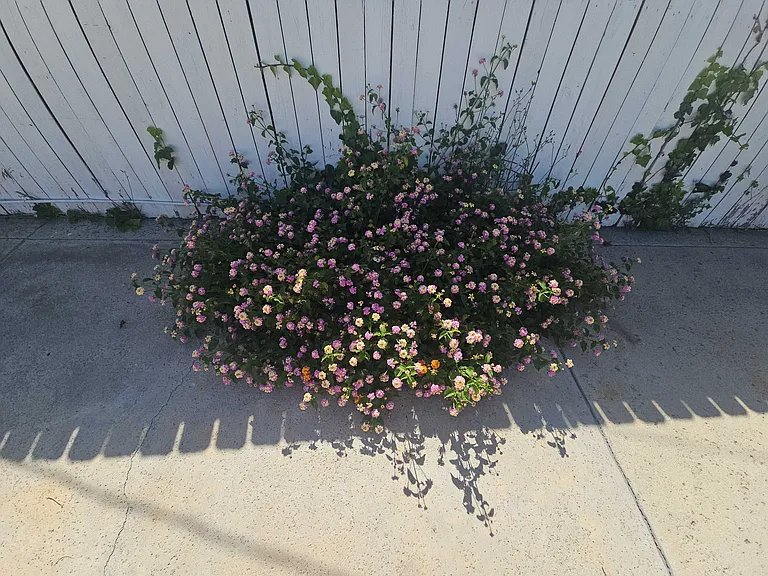 Bullock St — Photo 42
