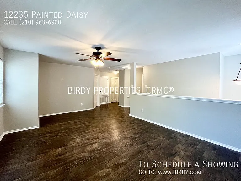 12235 Painted Daisy — Photo 22