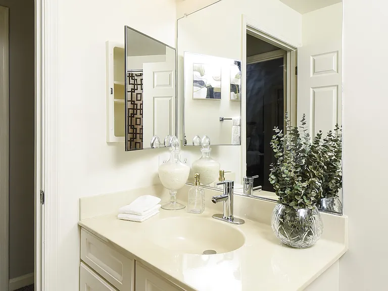 Chestnut Oaks, 55+ — Photo 10