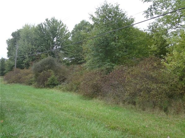 Ellsworth Bailey Rd, Warren, OH 44481