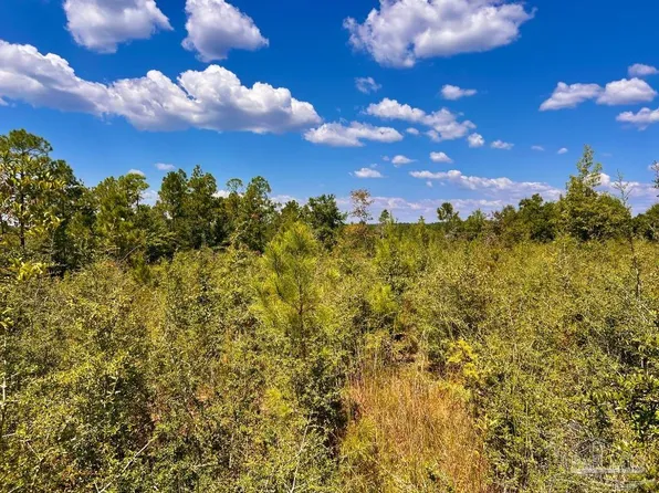 12 Morgan Ln, Molino, FL 32577