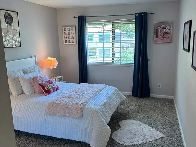 5192 Makati Cir — Photo 14