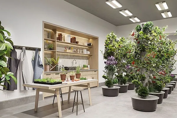 Rented by Corcoran | media 45