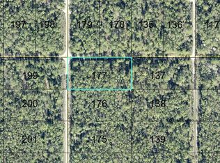 177 DILLION AVENUE, HASTINGS, FL 32145