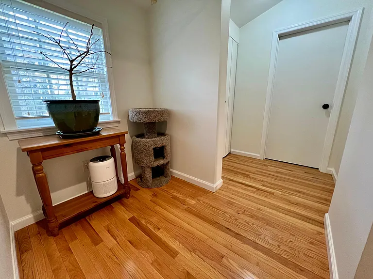 73 Hemlock Rd — Photo 20