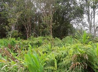 Road 6 LOT 348, Volcano, HI 96785