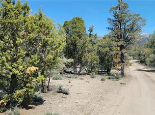 Lomprey Ln, Pioche, NV 89043