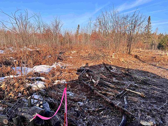 4th image of Parkway Rd #9