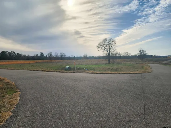 52 Southshore, Pittsburg, TX 75686