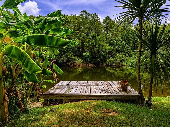 5th image of 16 Palmetto Dunes Ct