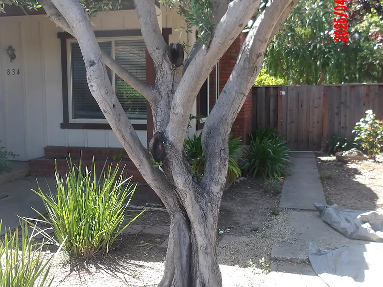 834 Van Dyck Ct — Photo 4
