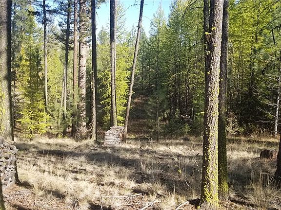 3rd image of 102 Corral Dr