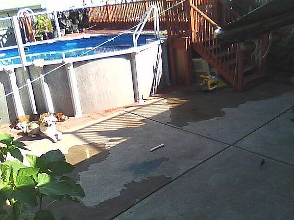 2nd image of 39 Naples Ave