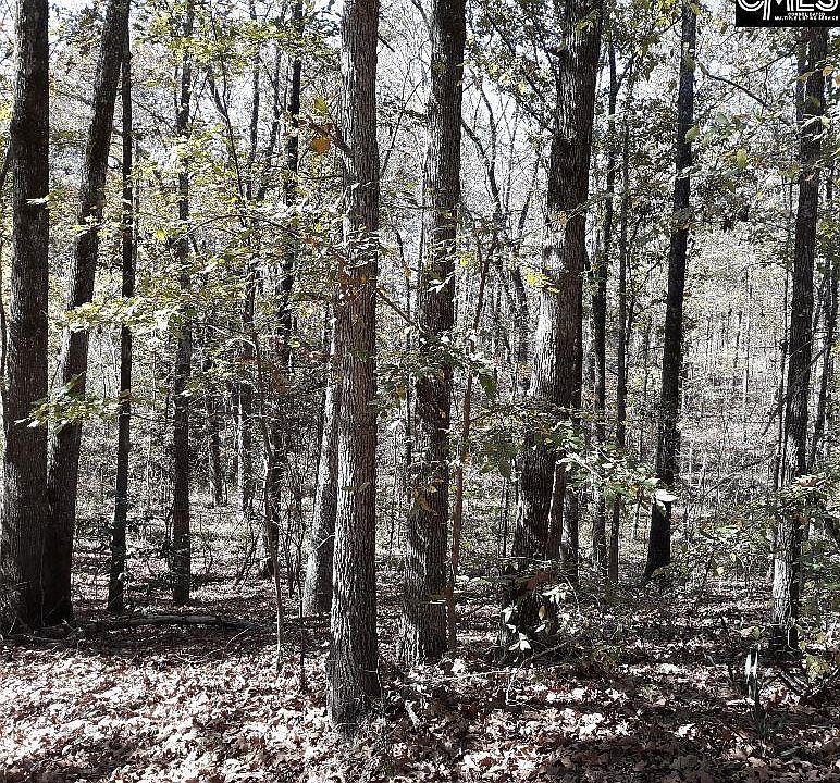 2nd image of 157 Crane Creek Dr