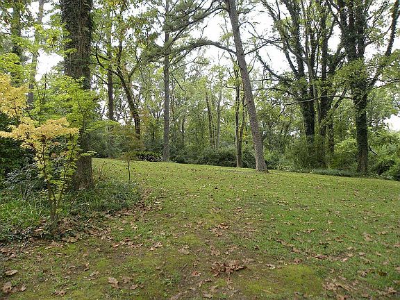 1.5 acres of park-like beauty