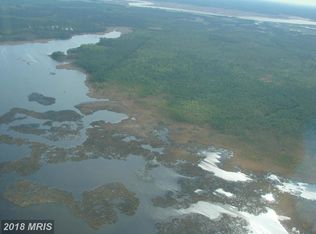 Elliott Island Rd, VIENNA, MD 21869