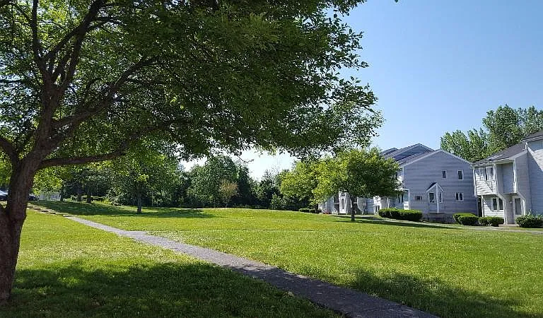 Riverview — Photo 17