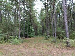 Pid 69934 Tr1 Duff Rd, Livingston, TX 77351