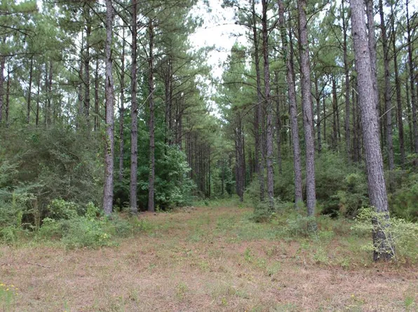 Pid 69934 Duff Rd, Livingston, TX 77351