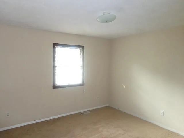 314 Cook St — Photo 9