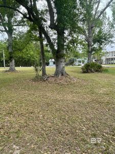 0 Magnolia Dr #6, Orange Beach, AL, 36561