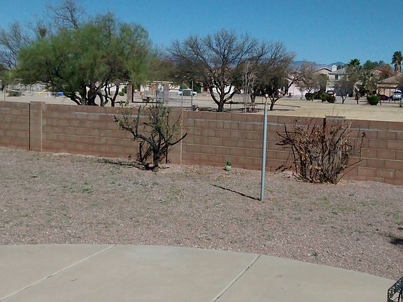 Backyard 2