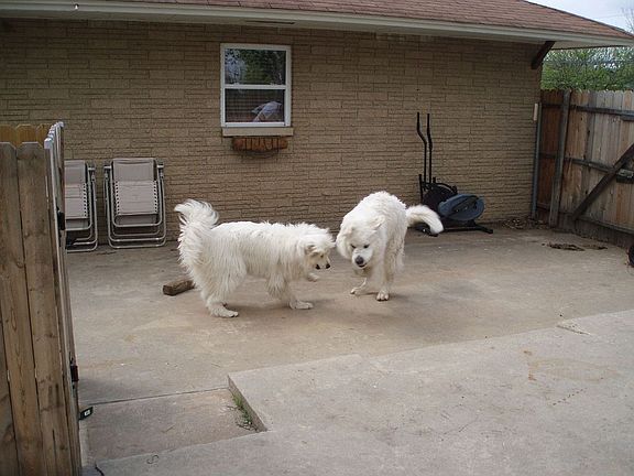 RV parking spot next to two car garage