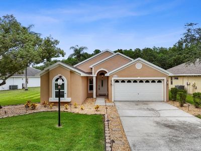 317 Tavernier Dr, Oldsmar, FL, 34677