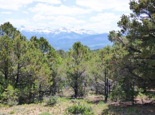 188 N. Tower Road #9, Ridgway, CO 81432