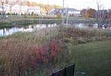 2nd image of 28039 Hopkins Dr #1