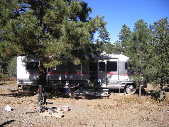 5th image of 33090 Turkey Creek Ln