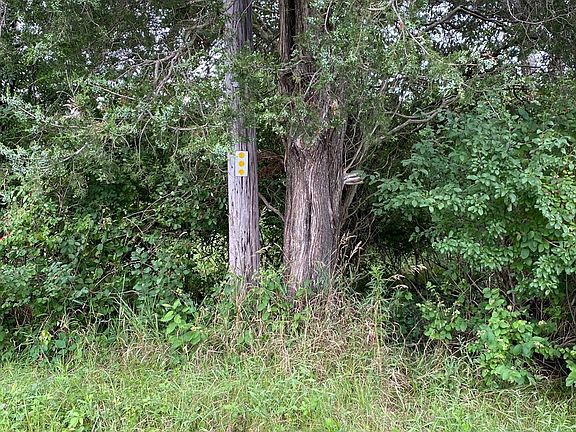 4th image of Johnny Cake Ln