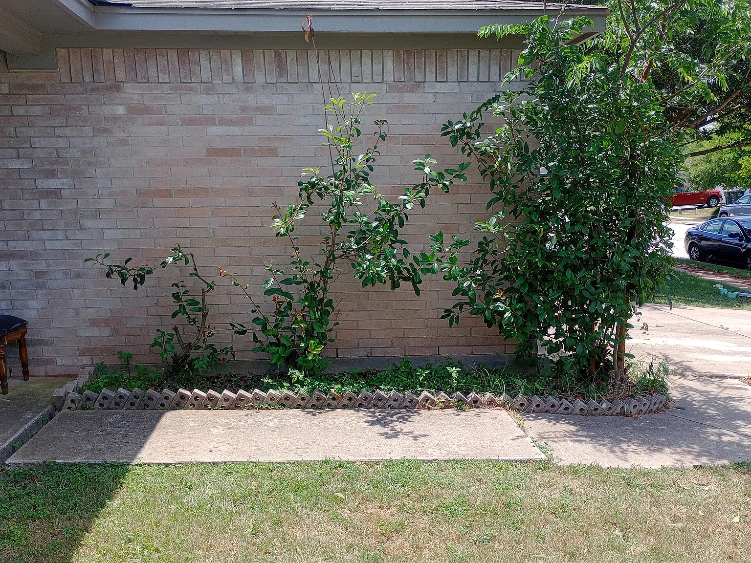 3 bed, 1500 sqft, $2,050 — Photo 3