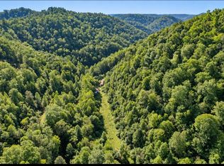 823 Frog Pond Rd, Inez, KY 41224