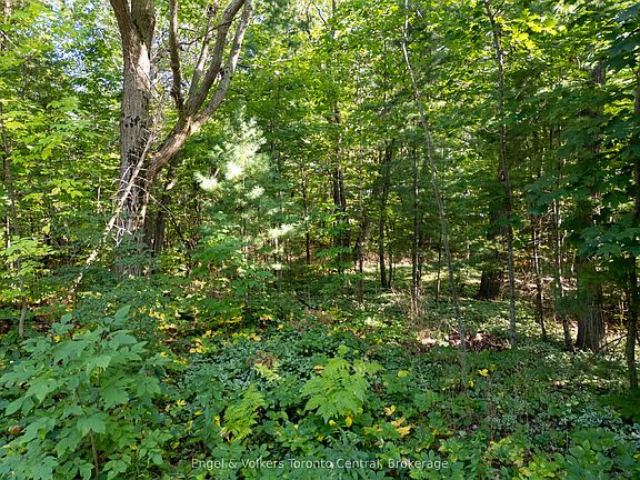 4th image of 173 Wildwood Dr