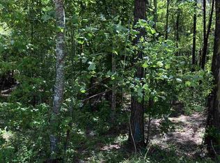 1 Old Sawmill Rd, Lake, MS 39092