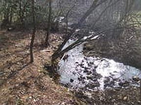 Year-Round Stream