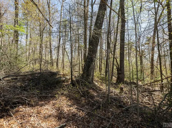 (undisclosed Address), Sapphire, NC 28774