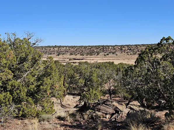 45 N 8579th, Concho, AZ 85924